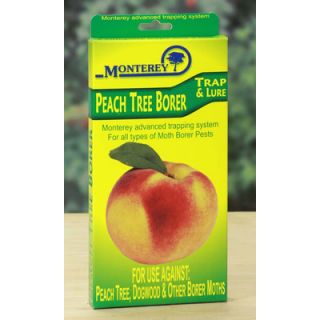 Monterey Peach Tree Borer Trap and Lure