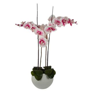Eloise Life like Floral Arrangement with Pink Spotted Phalaenopsis