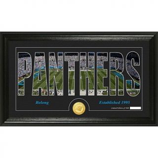 Officially Licensed NFL "Silhouette" Bronze Coin Panoramic Photo Mint   Carolin   7894368