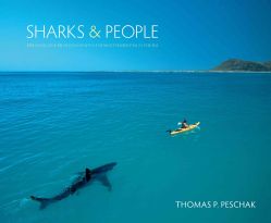 Sharks & People: Exploring Our Relationship With the Most Feared Fish