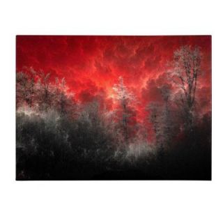 Trademark Fine Art 14 in. x 19 in. Hot and Cold Canvas Art PSL0166 C1419GG
