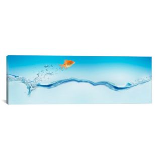 iCanvas Panoramic Goldfish Jumping out of Water Photographic Print on
