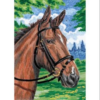 Horse   Mini Color Pencil By Number Kit 5"X7"