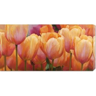 Big Canvas Co. Luca Villa 'Summer Tulips' Stretched Canvas