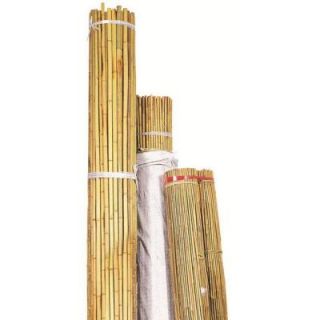Bond Manufacturing 10 ft. x 1 in. Natural Bamboo (Package of 50) N1024