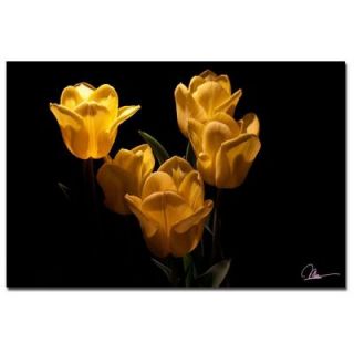 Trademark Fine Art 24 in. x 16 in. Yellow Blooms V Canvas Art MG0155 C1624GG
