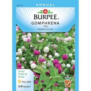 Burpee Gomphrena Mix Seed 40952