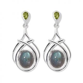 Himalayan Gems™ Multigemstone Sterling Silver Drop Earrings   7582363