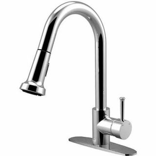 Vigo Pull Out Spray Kitchen Faucet with Deck Plate