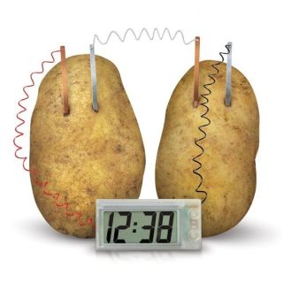 Toysmith Green Science Potato Clock   16964608  