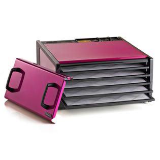 Radiant Raspberry 5 Tray Dehydrator with Timer: Sweet Treats at 