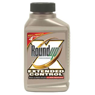 Roundup Ready to Use Roundup Pump N Go Weed & Grass Killer   1.33