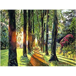 Trademark Art "Forest of Enchantment" Canvas Wall Art by David Lloyd Glover