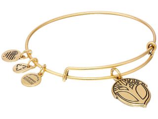 Alex And Ani Unexpected Miracles Expandable Wire Bangle Gold