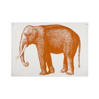 Elephant Graphic Art on Canvas by Thomas Paul