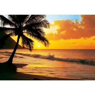 Ideal Decor 100 in. x 0.25 in. Pacific Sunset Wall Mural DM218