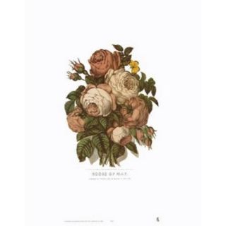Roses of May Poster Print by Currier and Ives (18 x 23)