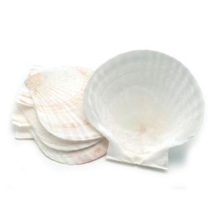 Fox Run Craftsmen Nantucket Seafood Baking Shell