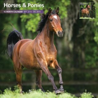Magnet™ & Steel Horses & Ponies 2015 Wall Calendar