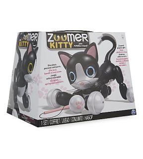 ZOOMER   Zoomer kitty