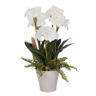 House of Silk Flowers Artificial Amaryllis in Vase