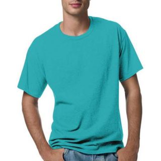 Hanes Men's Short Sleeve EcoSmart T shirt