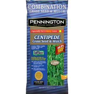 Pennington Tifblair 5 lb Centipede Grass Seed