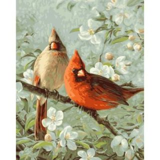 Paint By Number Kit 16"X20" Cardinals & Cherry Blossoms