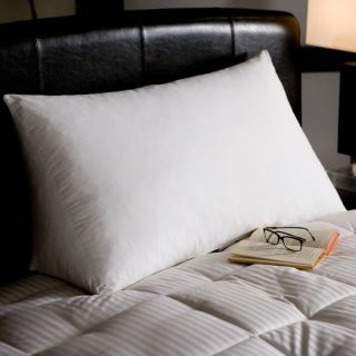 White Goose Down and Feather Reading Wedge Pillow   Shopping