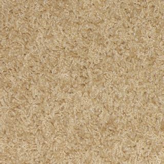 STAINMASTER Gallery Tuscan Sun Frieze Indoor Carpet