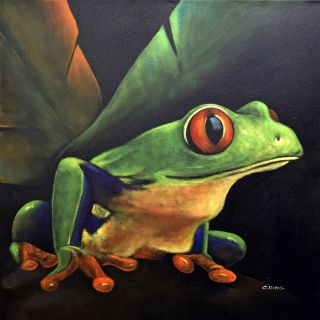 Red Eye Tree Frog I by C.Viens Painting on Canvas by Ren Wil