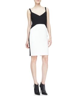 Narciso Rodriguez Strapped Colorblock Sheath Dress