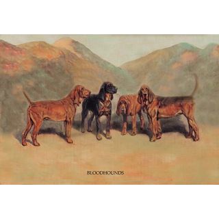 Bloodhounds by T. Ivester Llyod Painting Print by Buyenlarge