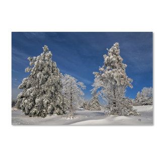 Gallery Direct Winter Trees Oversized Gallery Wrapped Canvas