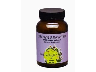 Living Foods Brown Seaweed   Herbs of Light   90   Capsule